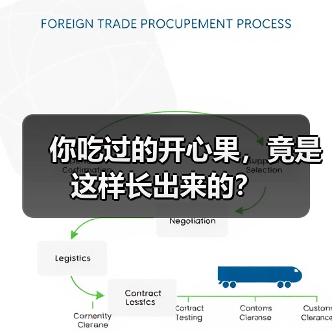 你吃过的开心果,竟是这样长出来的?(图3) 你吃过的开心果,竟是这样长出来的?(图3)