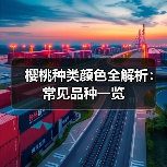 樱桃种类颜色全解析：常见品种一览（图4）