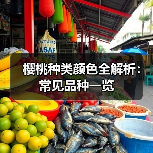 樱桃种类颜色全解析：常见品种一览（图3）