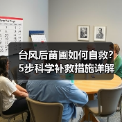 台风后苗圃如何自救？5步科学补救措施详解（图2）