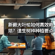 新疆大叶榆如何高效栽培?速生树种种植要点全解析(图2) 新疆大叶榆如何高效栽培?速生树种种植要点全解析(图2)