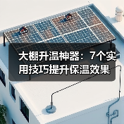 大棚升温神器：7个实用技巧提升保温效果（图3）