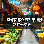 醉蝶花怎么养?掌握技巧轻松绽放(图3) 醉蝶花怎么养?掌握技巧轻松绽放(图3)