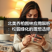 北美乔柏园林应用解析：校园绿化的理想选择（图3）