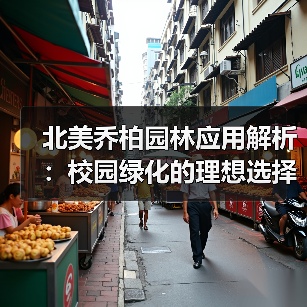 北美乔柏园林应用解析：校园绿化的理想选择（图4）