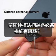 苗圃种植法桐越冬必备措施有哪些?(图4) 苗圃种植法桐越冬必备措施有哪些?(图4)