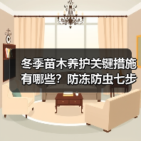 冬季苗木养护关键措施有哪些?防冻防虫七步走(图4) 冬季苗木养护关键措施有哪些?防冻防虫七步走(图4)