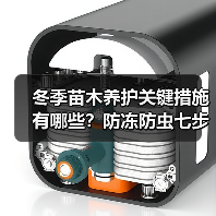 冬季苗木养护关键措施有哪些?防冻防虫七步走(图1) 冬季苗木养护关键措施有哪些?防冻防虫七步走(图1)
