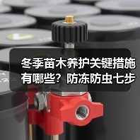 冬季苗木养护关键措施有哪些?防冻防虫七步走(图2) 冬季苗木养护关键措施有哪些?防冻防虫七步走(图2)
