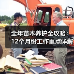全年苗木养护全攻略：12个月份工作重点详解（图1）