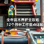 全年苗木养护全攻略：12个月份工作重点详解（图2）
