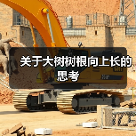 关于大树树根向上长的思考（图3）