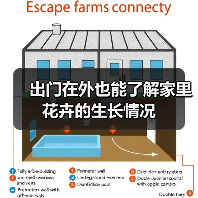 出门在外也能了解家里花卉的生长情况(图2) 出门在外也能了解家里花卉的生长情况(图2)