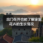 出门在外也能了解家里花卉的生长情况(图4) 出门在外也能了解家里花卉的生长情况(图4)