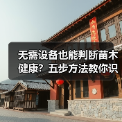 无需设备也能判断苗木健康?五步方法教你识别病态(图1) 无需设备也能判断苗木健康?五步方法教你识别病态(图1)