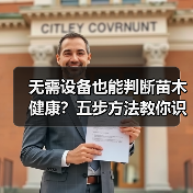 无需设备也能判断苗木健康?五步方法教你识别病态(图2) 无需设备也能判断苗木健康?五步方法教你识别病态(图2)