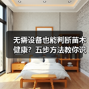 无需设备也能判断苗木健康?五步方法教你识别病态(图4) 无需设备也能判断苗木健康?五步方法教你识别病态(图4)