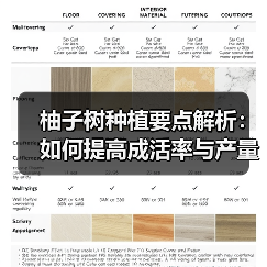 柚子树种植要点解析:如何提高成活率与产量(图3) 柚子树种植要点解析:如何提高成活率与产量(图3)