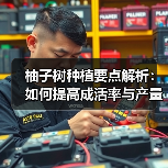 柚子树种植要点解析:如何提高成活率与产量(图4) 柚子树种植要点解析:如何提高成活率与产量(图4)