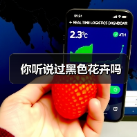 你听说过黑色花卉吗(图4) 你听说过黑色花卉吗(图4)