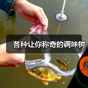 各种让你称奇的调味树（图2）
