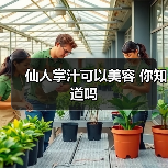 仙人掌汁可以美容 你知道吗(图4) 仙人掌汁可以美容 你知道吗(图4)