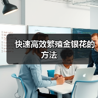 木本金银花高效繁殖方法揭秘-云溯花卉云巢