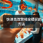 快速高效繁殖金银花的方法(图2) 快速高效繁殖金银花的方法(图2)