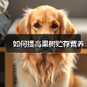 如何提高果树贮存营养(图3) 如何提高果树贮存营养(图3)