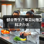 郁金香栽培常见问题及科学解决措施全解析-