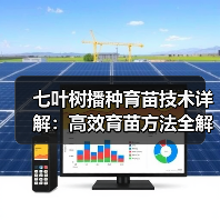 七叶树播种育苗技术详解:高效育苗方法全解析(图1) 七叶树播种育苗技术详解:高效育苗方法全解析(图1)