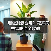 烟熏剂怎么用?花卉病虫害防治全攻略(图2) 烟熏剂怎么用?花卉病虫害防治全攻略(图2)