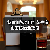 烟熏剂怎么用?花卉病虫害防治全攻略(图4) 烟熏剂怎么用?花卉病虫害防治全攻略(图4)