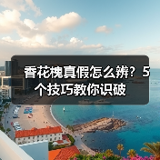 香花槐真假怎么辨?5个技巧教你识破(图2) 香花槐真假怎么辨?5个技巧教你识破(图2)