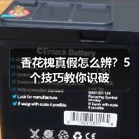 香花槐真假怎么辨?5个技巧教你识破(图3) 香花槐真假怎么辨?5个技巧教你识破(图3)