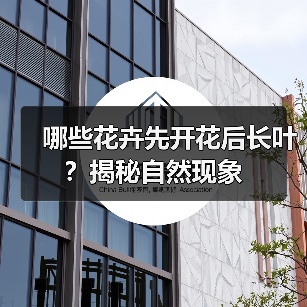 哪些花卉先开花后长叶?揭秘自然现象(图2) 哪些花卉先开花后长叶?揭秘自然现象(图2)