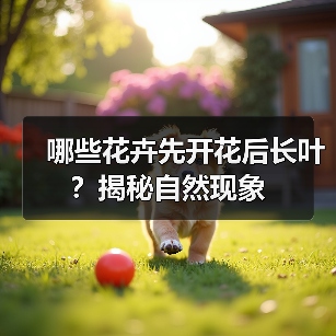 哪些花卉先开花后长叶?揭秘自然现象(图1) 哪些花卉先开花后长叶?揭秘自然现象(图1)