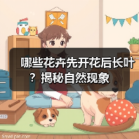 哪些花卉先开花后长叶?揭秘自然现象(图4) 哪些花卉先开花后长叶?揭秘自然现象(图4)