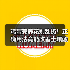 鸡蛋壳养花别乱扔!正确用法竟能改善土壤酸碱度?(图3) 鸡蛋壳养花别乱扔!正确用法竟能改善土壤酸碱度?(图3)