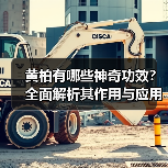 黄柏有哪些神奇功效？全面解析其作用与应用（图1）