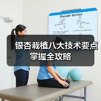 银杏栽植八大技术要点掌握全攻略(图2) 银杏栽植八大技术要点掌握全攻略(图2)