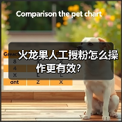 火龙果人工授粉怎么操作更有效？（图2）