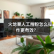火龙果人工授粉怎么操作更有效？（图1）