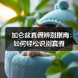 加仑盆真假辨别指南:如何轻松识别真假(图1) 加仑盆真假辨别指南:如何轻松识别真假(图1)