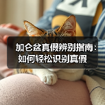 加仑盆真假辨别指南:如何轻松识别真假(图3) 加仑盆真假辨别指南:如何轻松识别真假(图3)