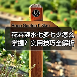 花卉浇水七多七少怎么掌握?实用技巧全解析(图4) 花卉浇水七多七少怎么掌握?实用技巧全解析(图4)