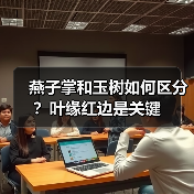 燕子掌和玉树如何区分?叶缘红边是关键(图4) 燕子掌和玉树如何区分?叶缘红边是关键(图4)