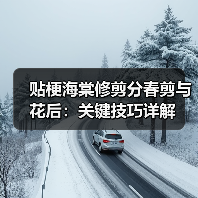 贴梗海棠修剪分春剪与花后:关键技巧详解(图1) 贴梗海棠修剪分春剪与花后:关键技巧详解(图1)