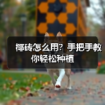 椰砖怎么用?手把手教你轻松种植(图3) 椰砖怎么用?手把手教你轻松种植(图3)