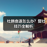 杜鹃衰退怎么办？复壮技巧全解析（图1）